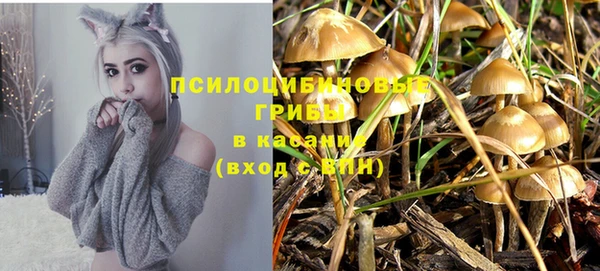 соль курить ск Медвежьегорск