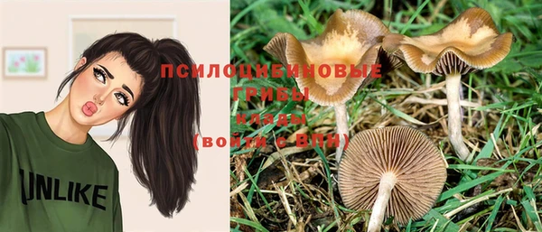 соль курить ск Медвежьегорск