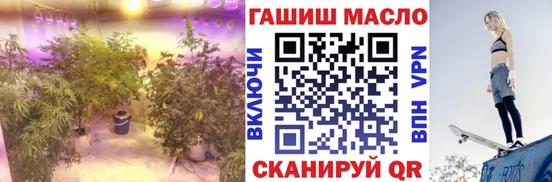 блэк спрут ссылка  Белорецк  ТГК THC oil  где купить  