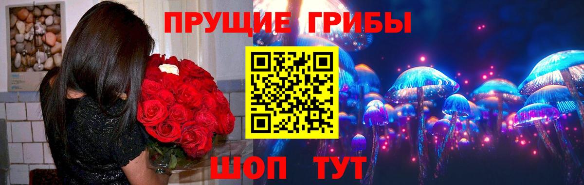 Галлюциногенные грибы Psilocybe  Белорецк 